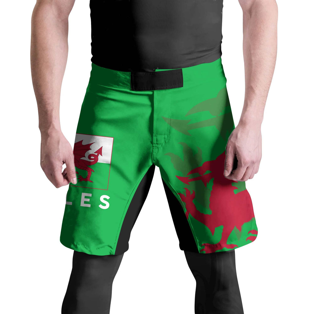 Wale Flag Fight Shorts