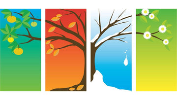 Illustration of four trees depicting the four seasons: spring blossoms, summer fruit, autumn leaves, and winter snow