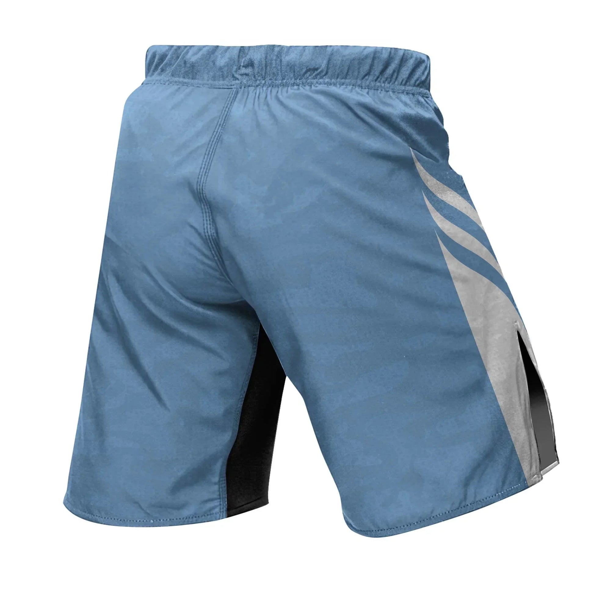 Argentina Heritage Force Fight Shorts