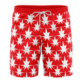 Attack on Titan Marleyan Swim Trunks