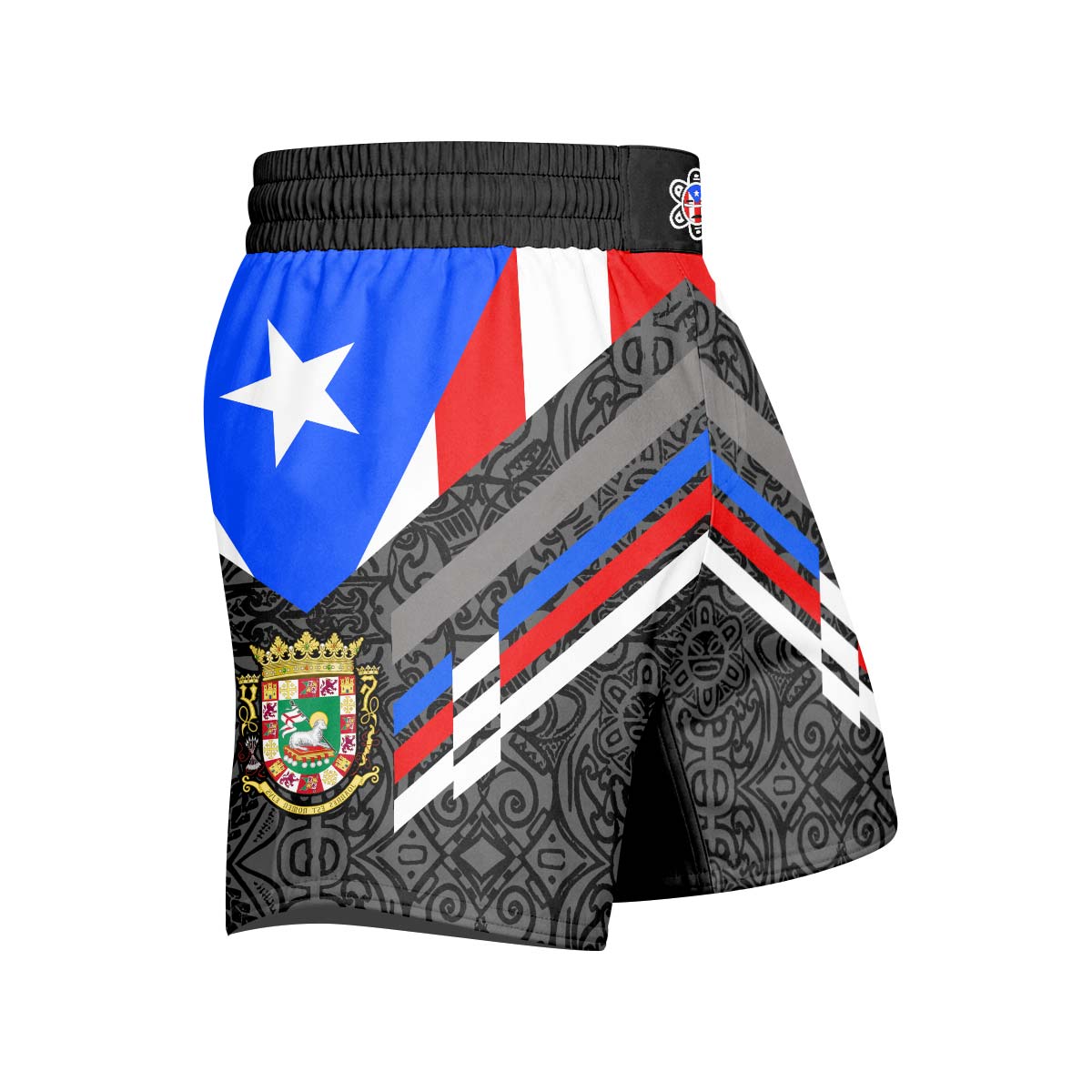 Boricua Blaze Grappling Shorts