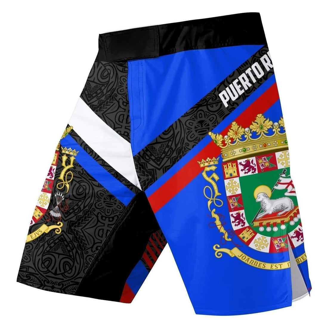 Boricua Pride Fight Shorts