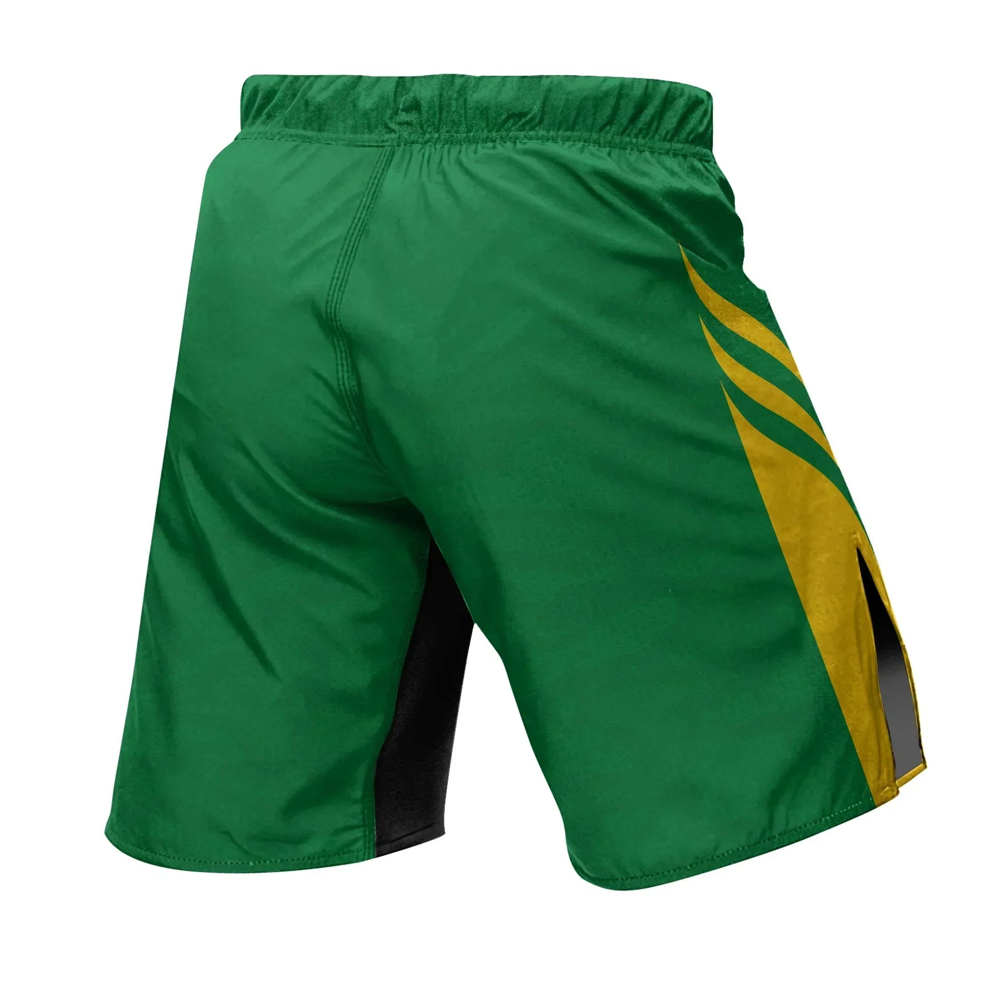Brazil Heritage Force Fight Shorts