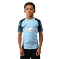 Cinnamoroll Jiu Jitsu Kids Rash Guard