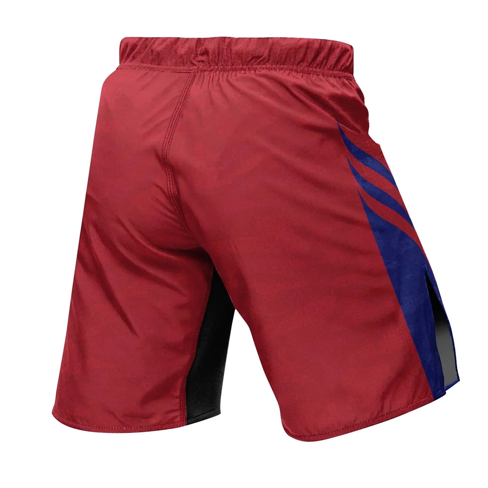 Croatia Heritage Force Fight Shorts