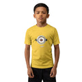 Despicable Me Minion Face Kids Rash Guard