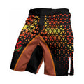 Dragon Ball Goku BJJ Fight Shorts