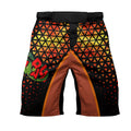 Dragon Ball Goku BJJ Fight Shorts