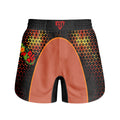 Dragon Ball Goku BJJ Grappling Shorts