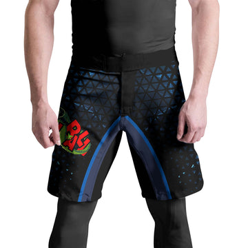 Dragon Ball Vegeta BJJ Fight Shorts