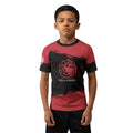 Game of Throne Targaryen Kids Rash Guard