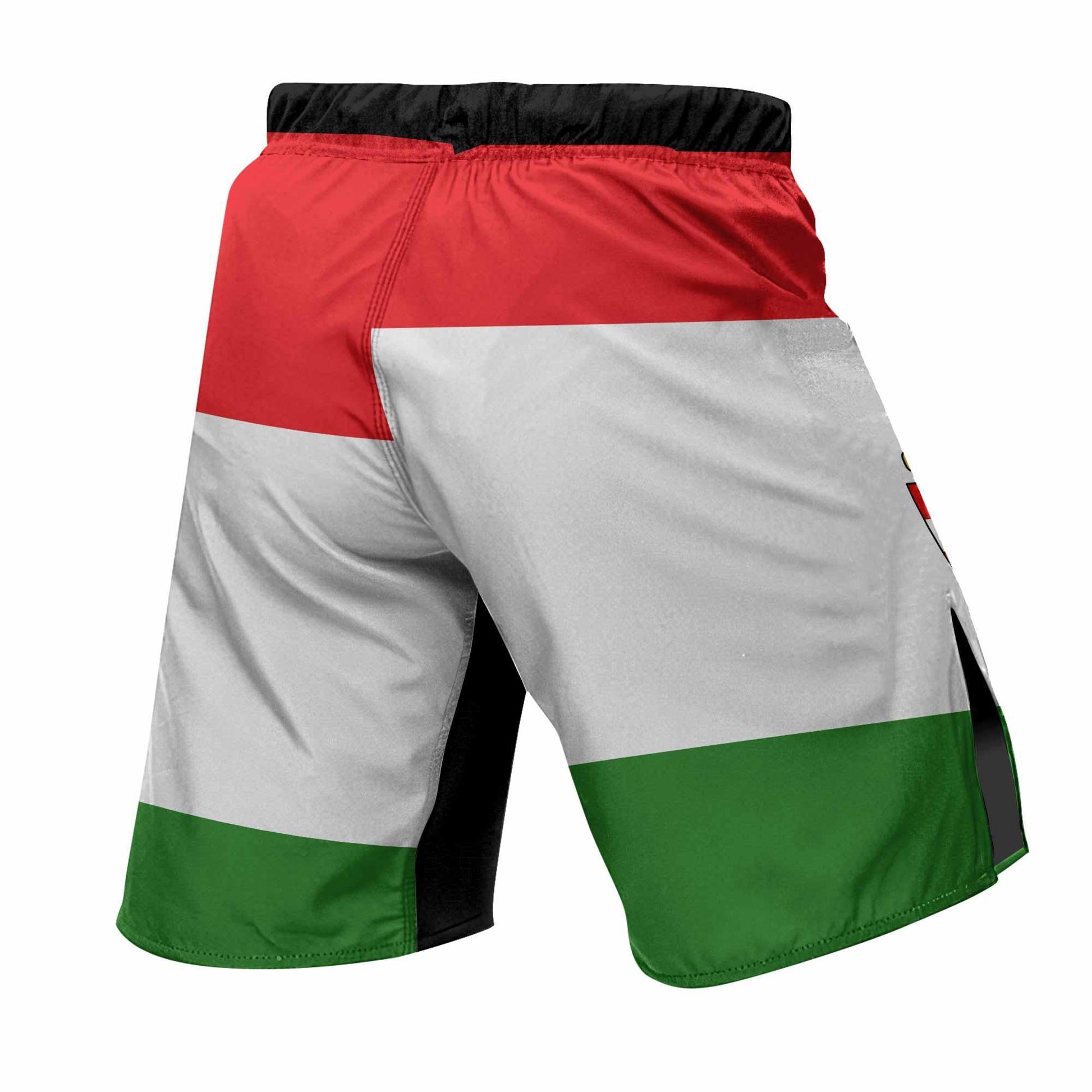 Hungary Flag Fight Shorts