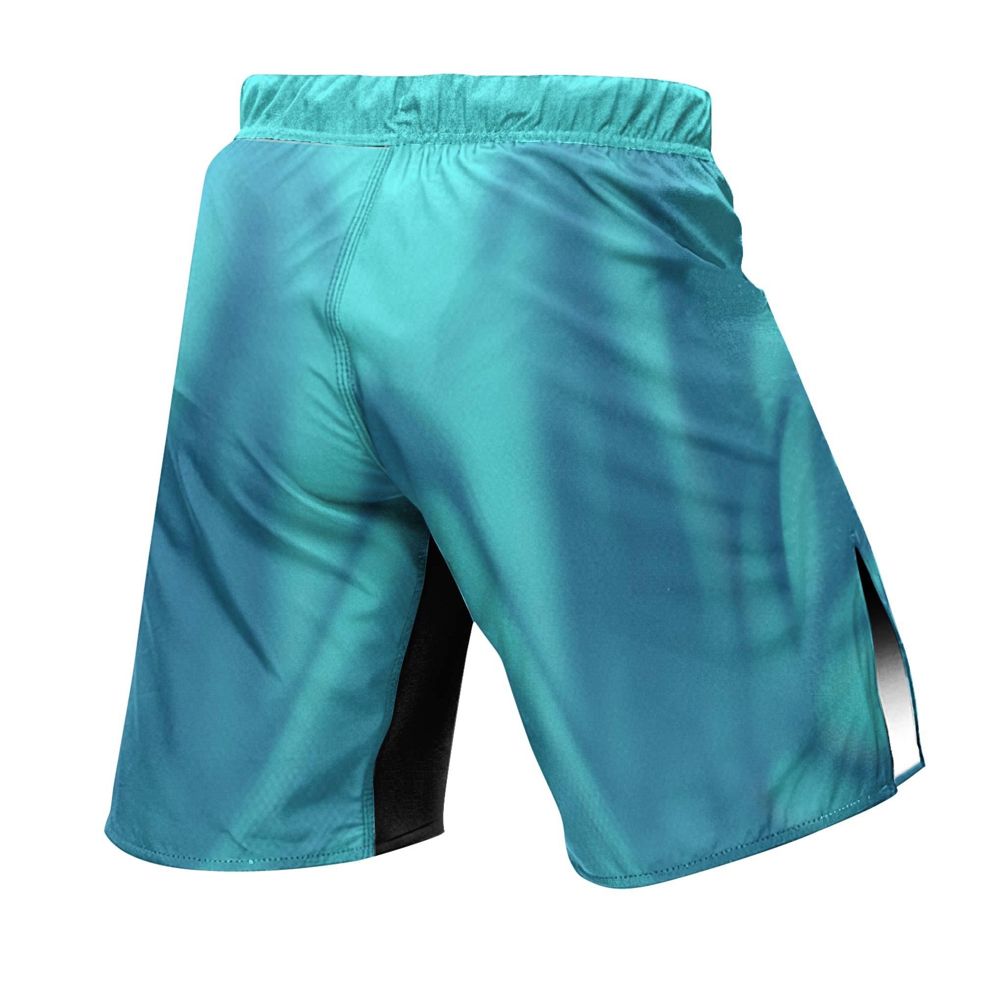 Invincible Mark Grayson Fight Shorts