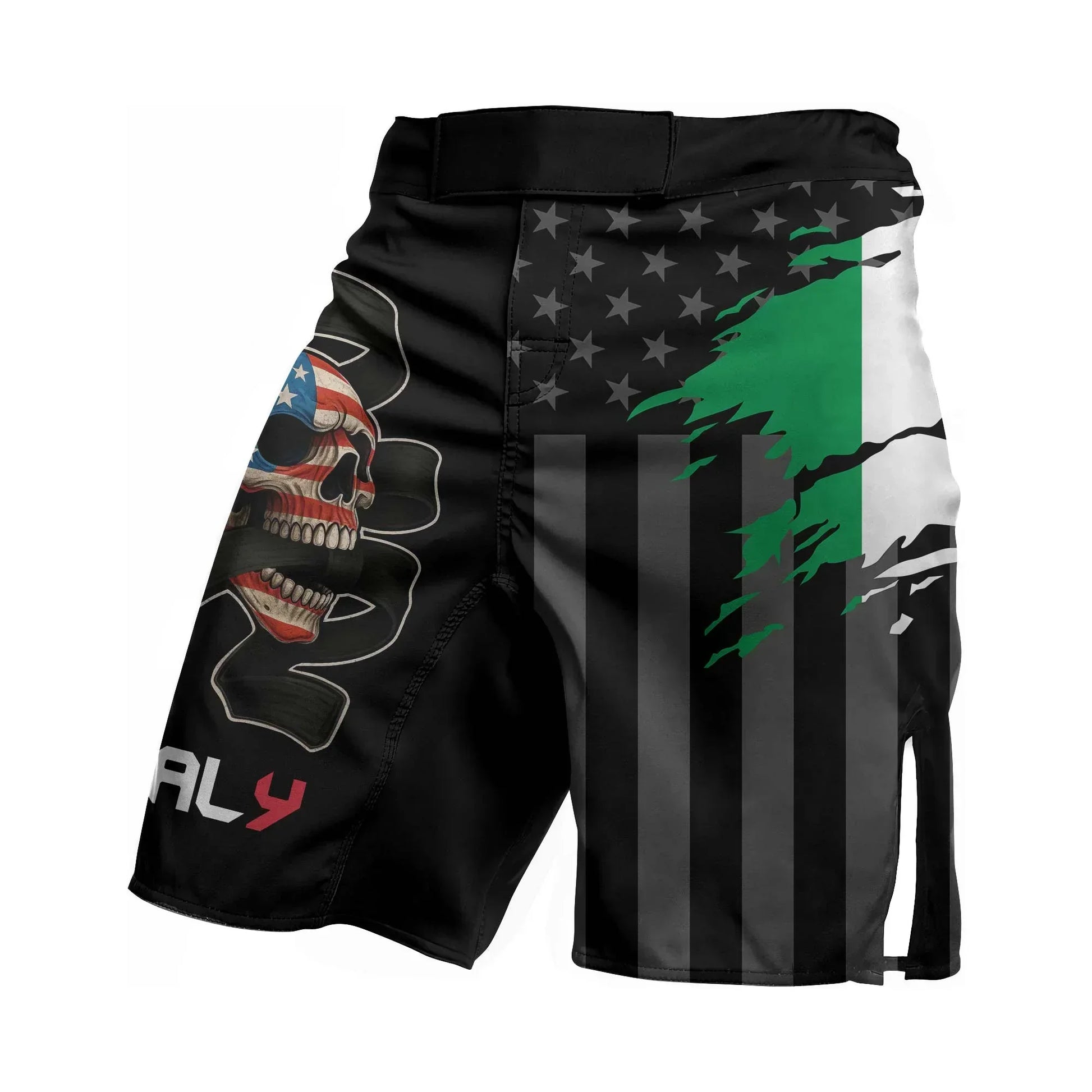 Italy Phantom Division Fight Shorts
