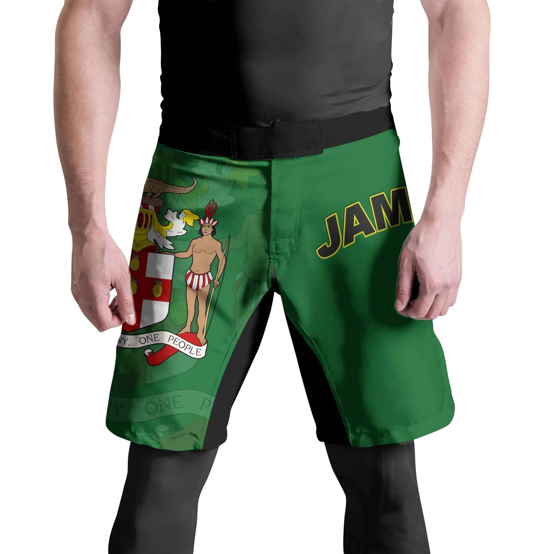 Jamaica Flag Fight Shorts