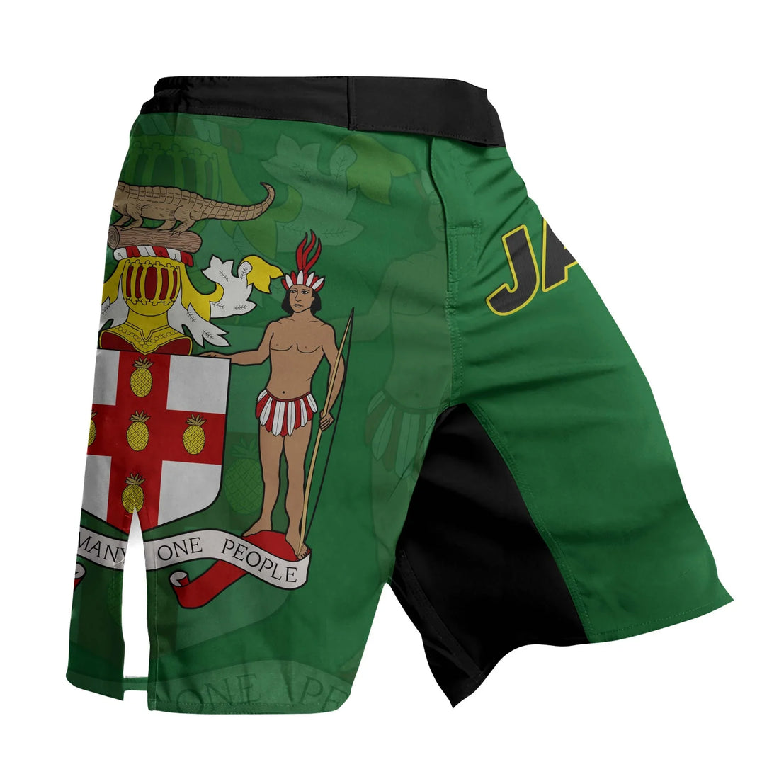 Jamaica Flag Fight Shorts