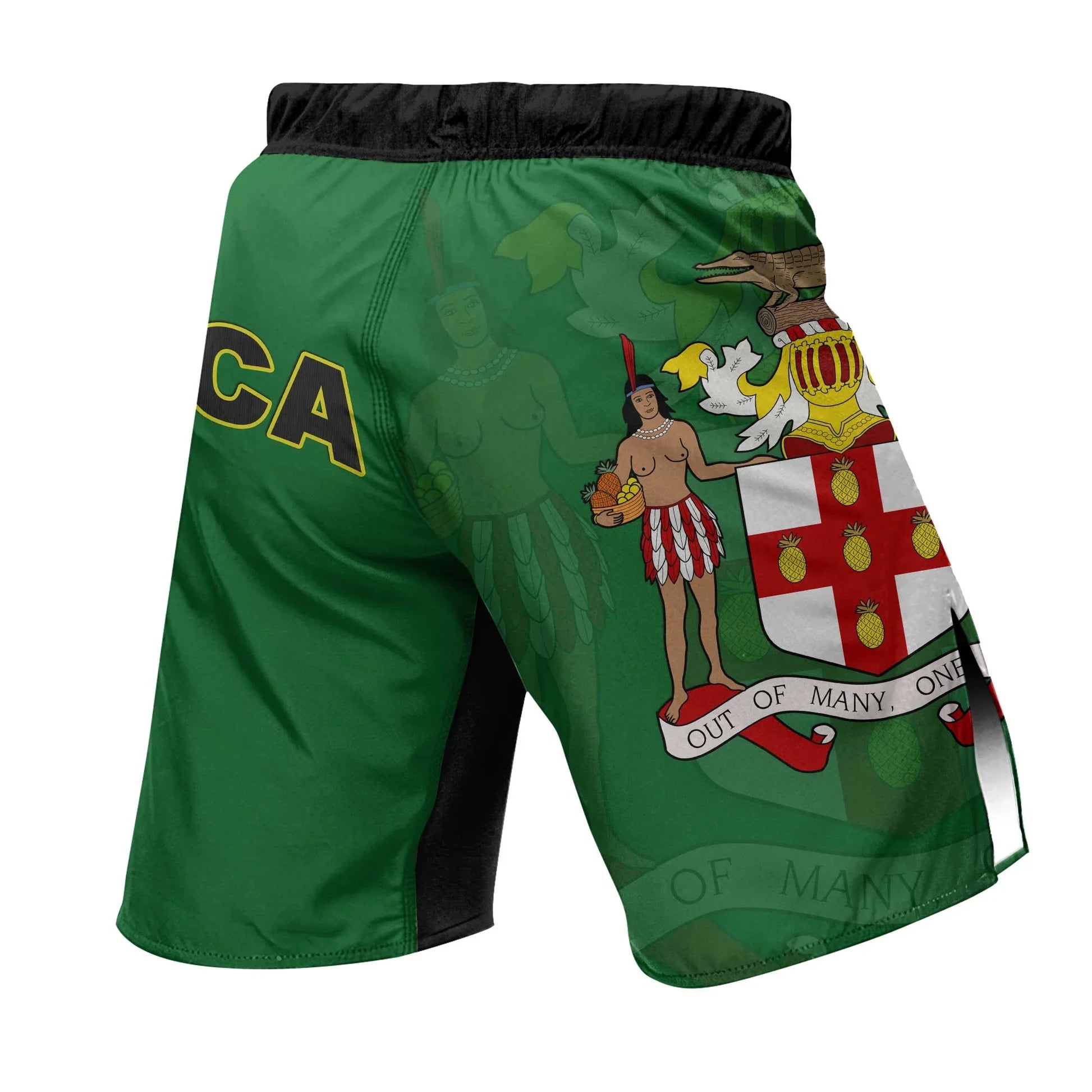 Jamaica Flag Fight Shorts