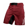 Joker Fight Shorts