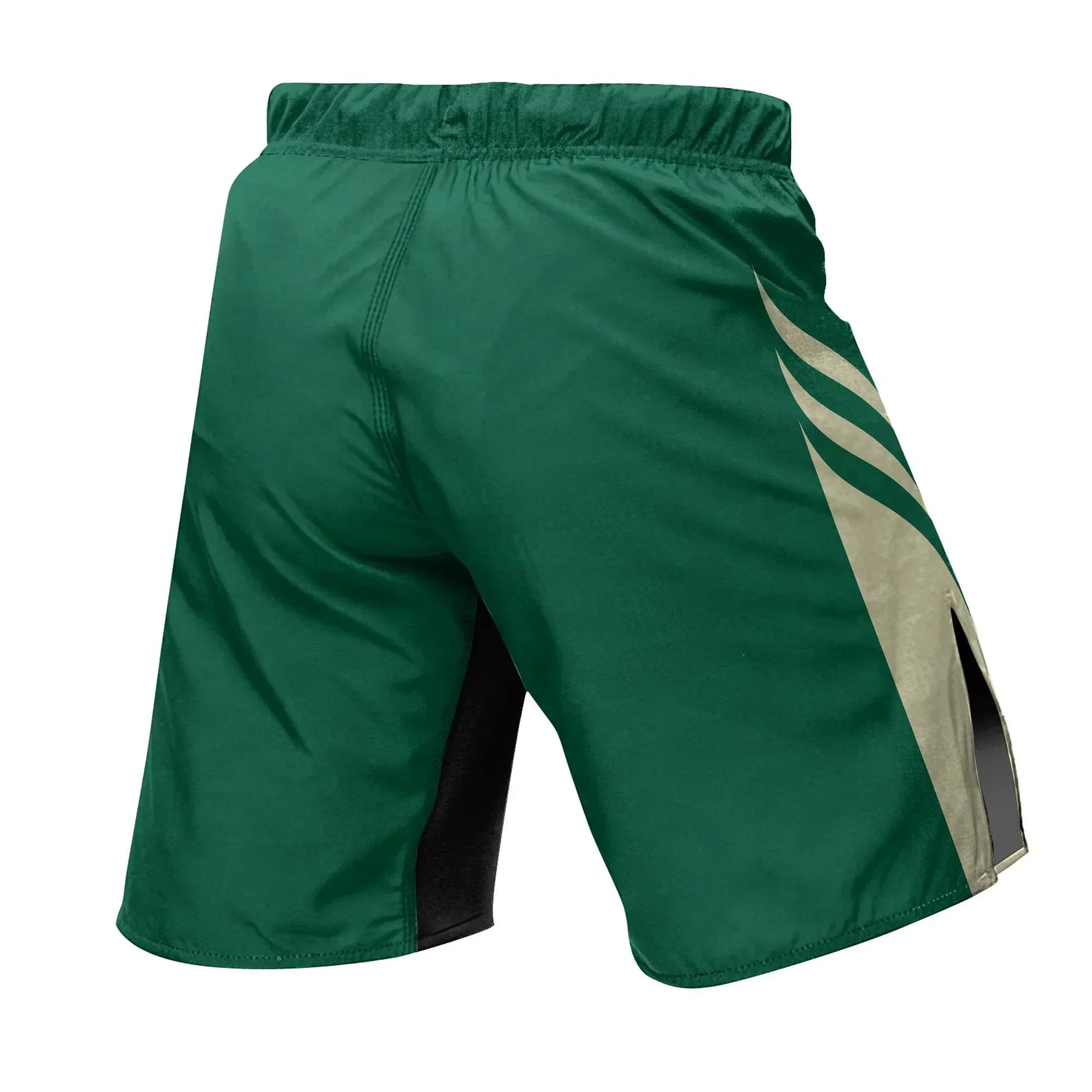 Mexican Heritage Force Fight Shorts