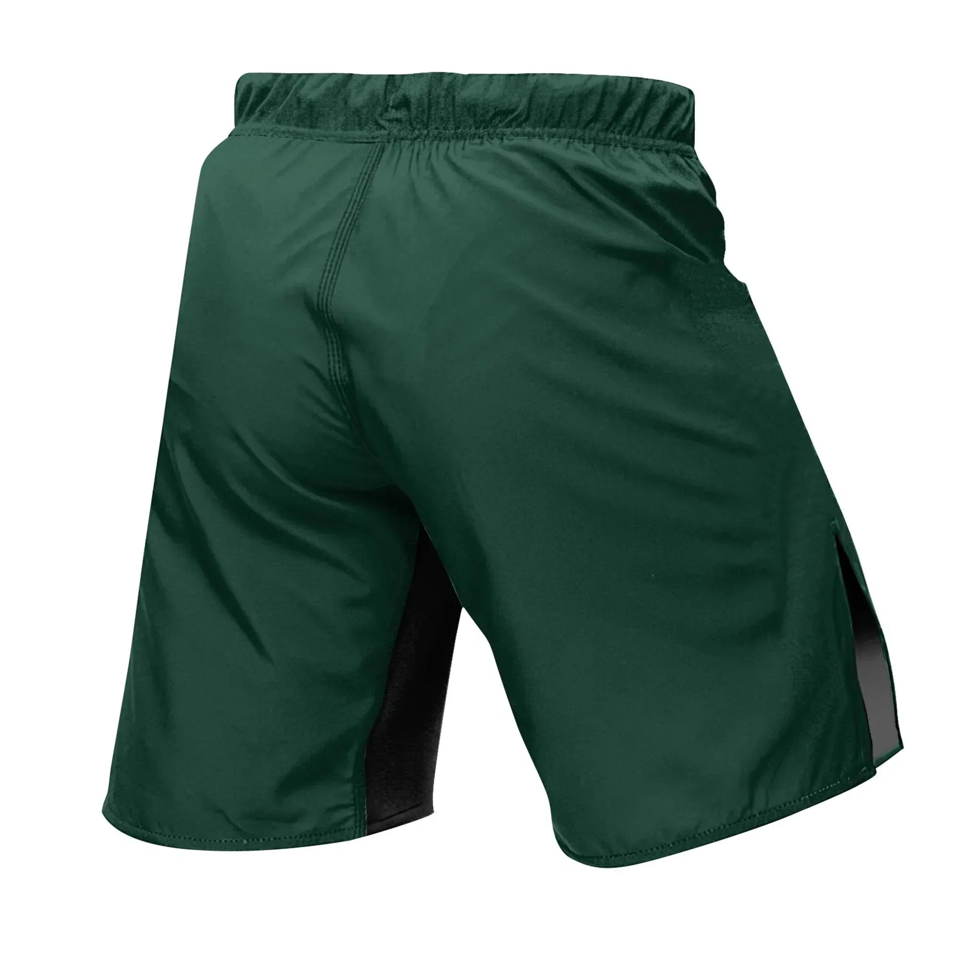 Mexico Combat Fighter Fight Shorts
