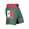 Mexico Flag Grappling Shorts