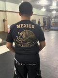 Mexico x America Rash Guard