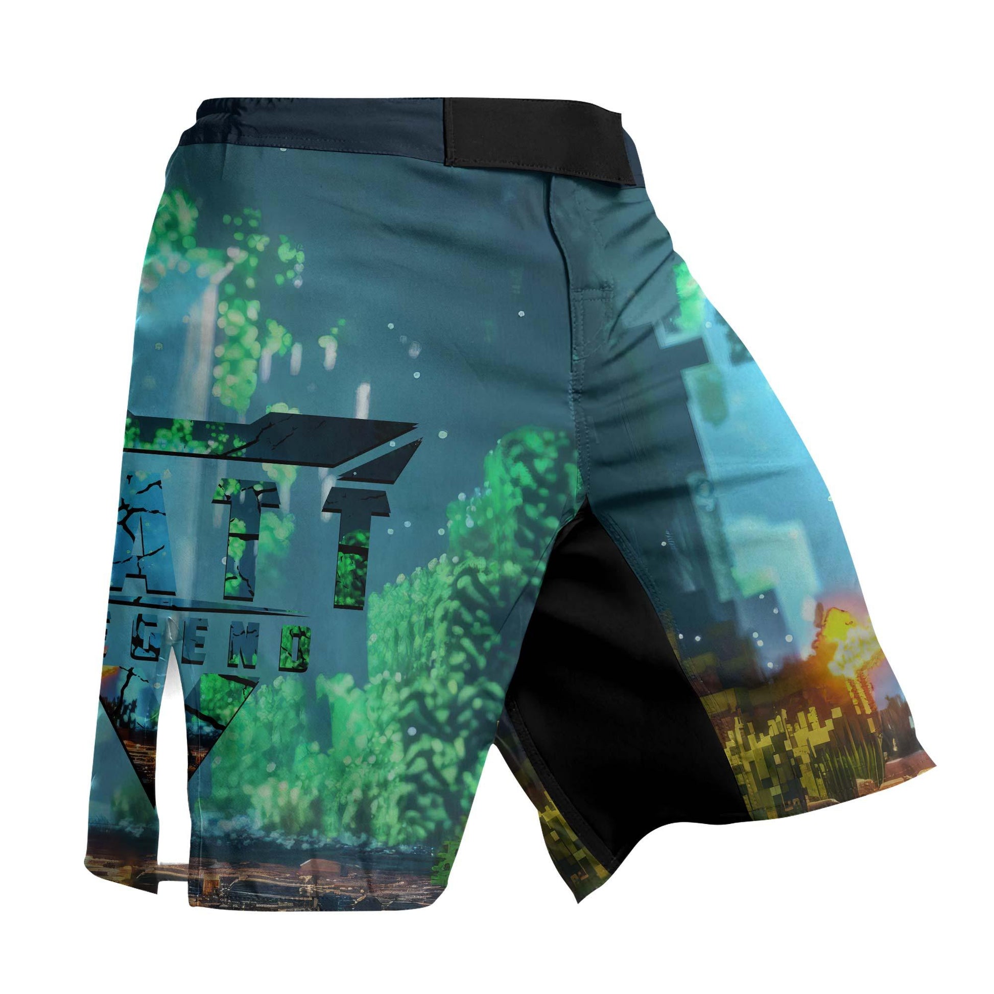 Minecraft Jiu Jitsu Fight Shorts