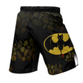 Night Fury Toothless Fight Shorts