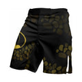 Night Fury Toothless Fight Shorts