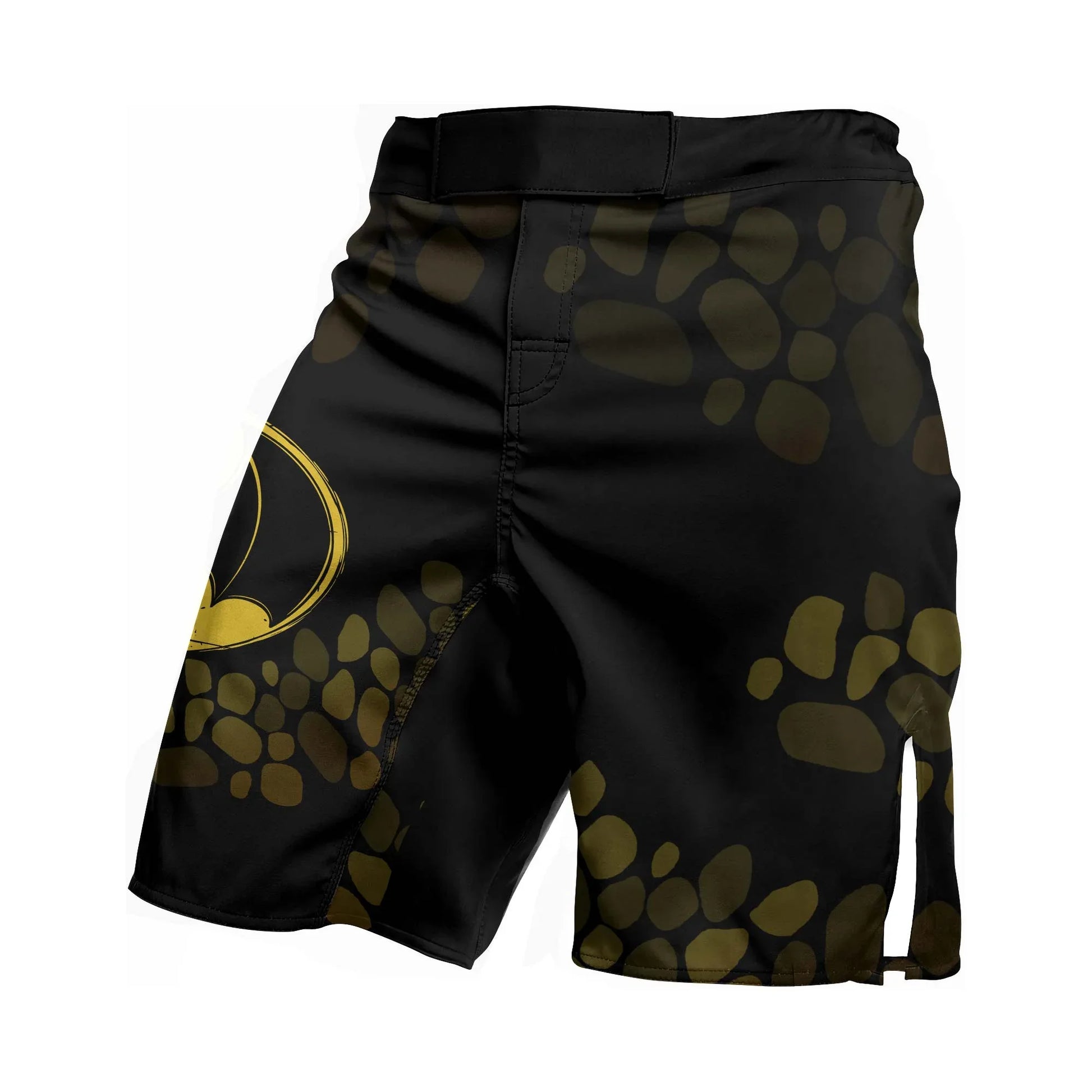 Night Fury Toothless Fight Shorts