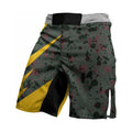 Pokemon Arceus Fight Shorts