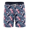 Pokemon Mew and Mewtwo Swim Trunks
