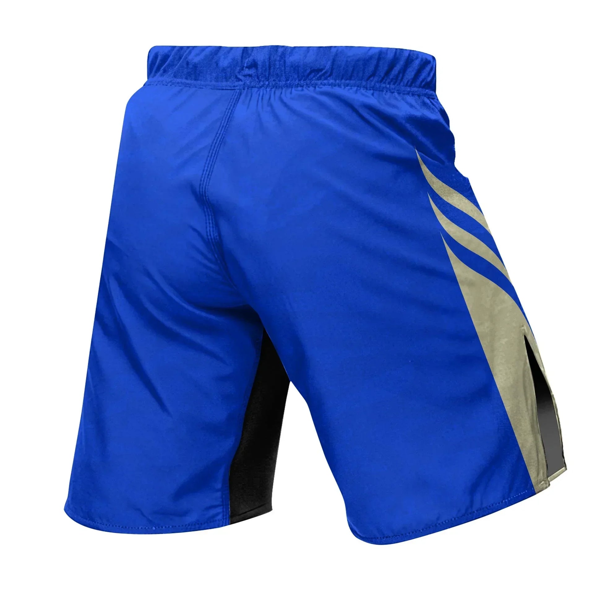 Puerto Rico Heritage Force Fight Shorts