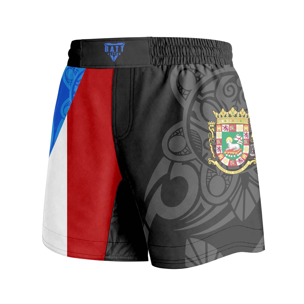 Puerto Rico Resilience Grappling Shorts