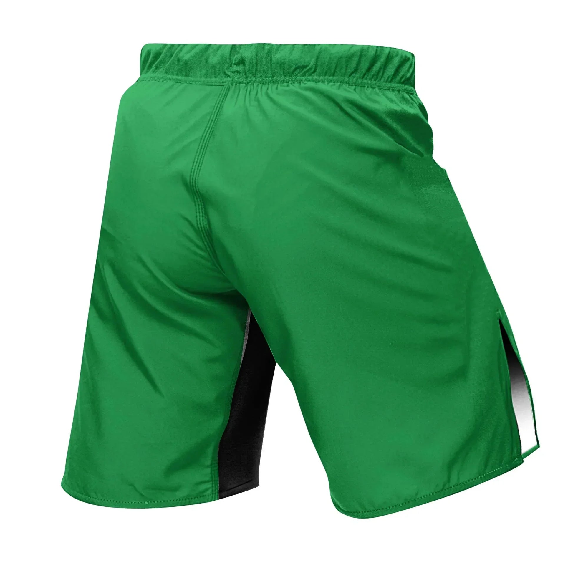 ST Patrick Day Fight Shorts