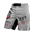 Viking Night Fury Toothless Fight Shorts