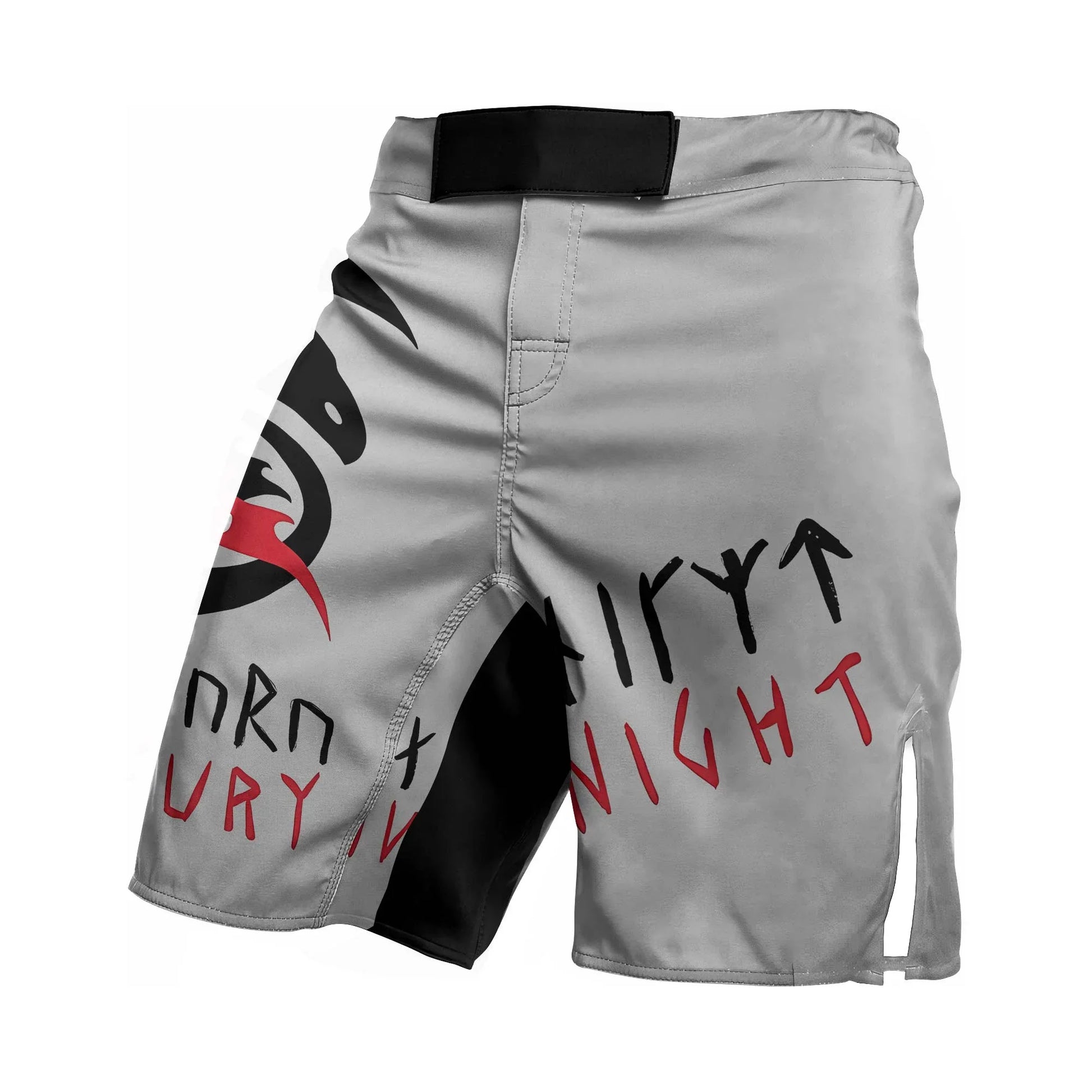 Viking Night Fury Toothless Fight Shorts