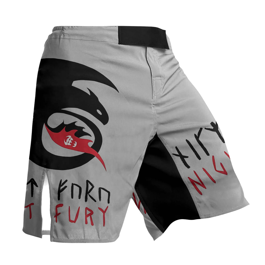 Viking Night Fury Toothless Fight Shorts