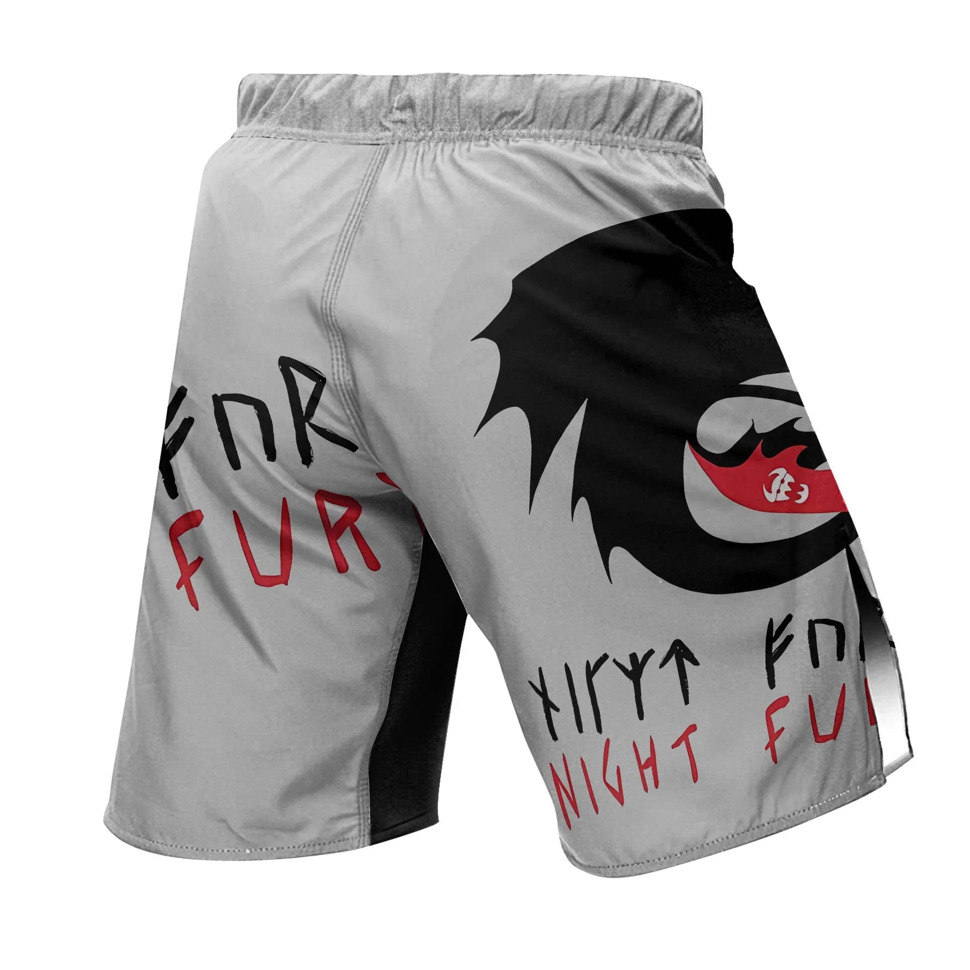Viking Night Fury Toothless Fight Shorts