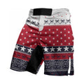 Winter Spider Guardian Fight Shorts