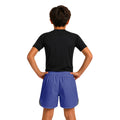 Brazil Combat Fighter Kids Grappling Shorts