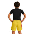 Colombia Heritage Force Kids Grappling Shorts