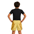 Dragon Ball Goku Super Saiyan Fourth Kids Grappling Shorts