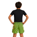 Scudo Turtle Kids Grappling Shorts