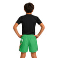 ST Patrick Day Kids Grappling Shorts